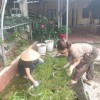 TRƯỜNG PTDTBT TIỂU HỌC NẬM NÈN TÍCH CỰC CHUẨN BỊ CƠ SỞ VẬT CHẤT CHÀO ĐÓN NĂM HỌC MỚI