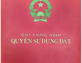 chung-nhan-quyen-su-dung-dat-ban-Ho-Muc-hinh-anh-0.jpg