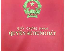 chung-nhan-quyen-su-dung-dat-ban-Ho-Muc-hinh-anh-11.jpg