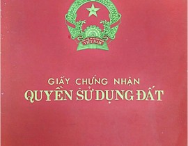 chung-nhan-quyen-su-dung-dat-ban-Ho-Muc-hinh-anh-14.jpg